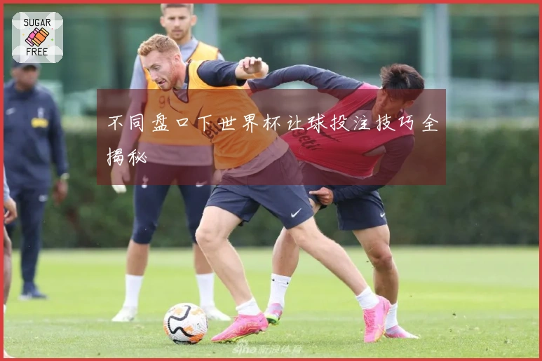 不同盘口下世界杯让球投注技巧全揭秘