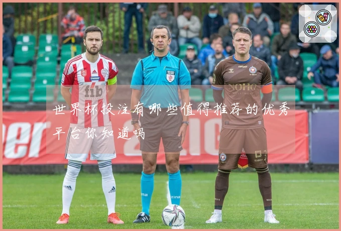 世界杯投注有哪些值得推荐的优秀平台你知道吗