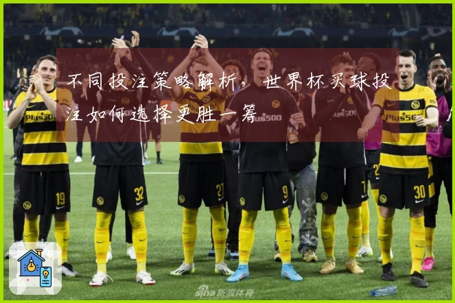 不同投注策略解析，世界杯买球投注如何选择更胜一筹