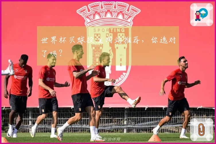 世界杯买球投注网站推荐，你选对了吗？