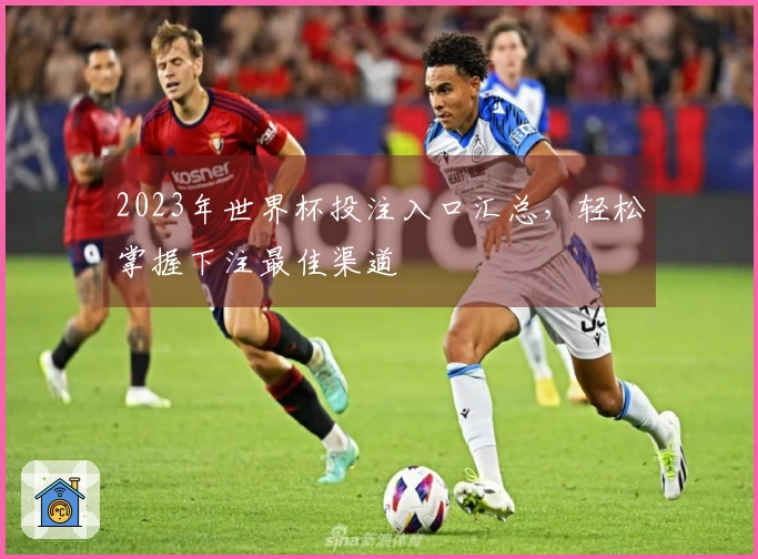 2023年世界杯投注入口汇总，轻松掌握下注最佳渠道