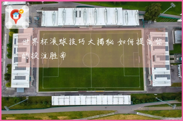 世界杯滚球技巧大揭秘 如何提高你的投注胜率