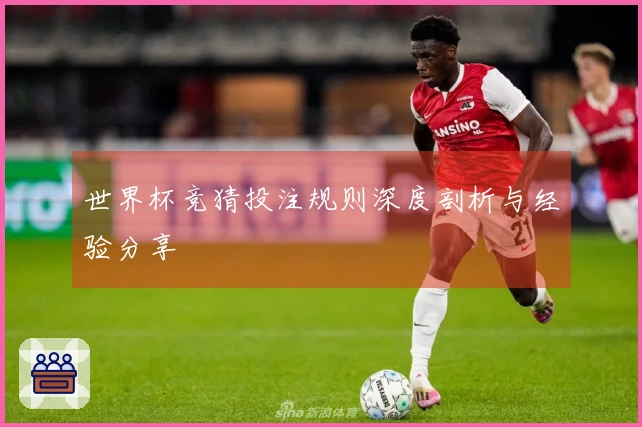 世界杯竞猜投注规则深度剖析与经验分享
