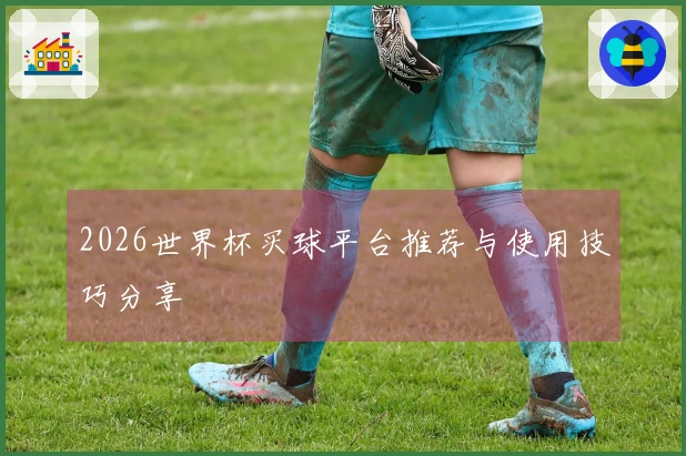2026世界杯买球平台推荐与使用技巧分享