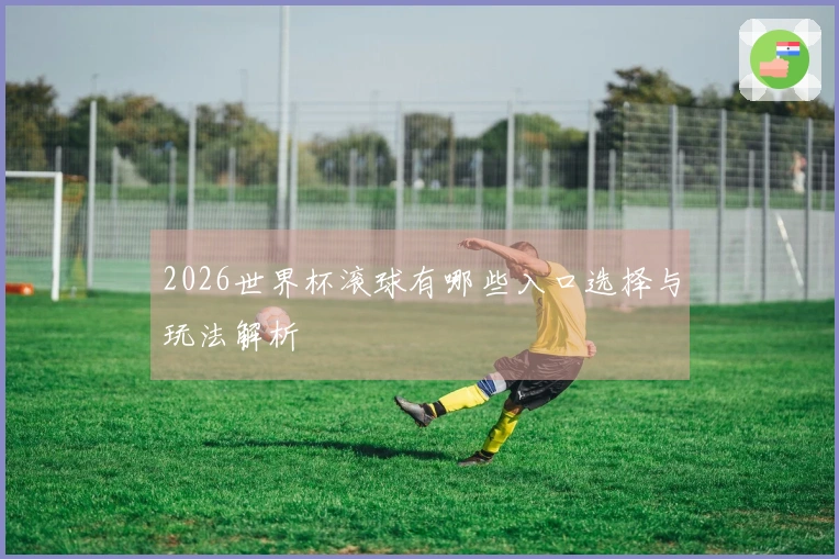 2026世界杯滚球有哪些入口选择与玩法解析