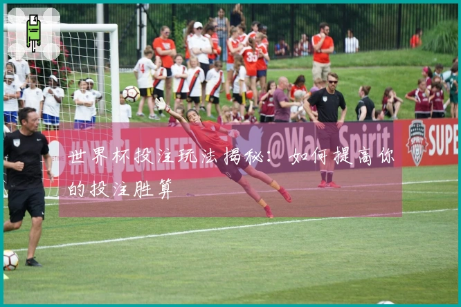 世界杯投注玩法揭秘：如何提高你的投注胜算