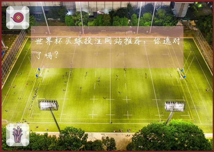 世界杯买球投注网站推荐，你选对了吗？