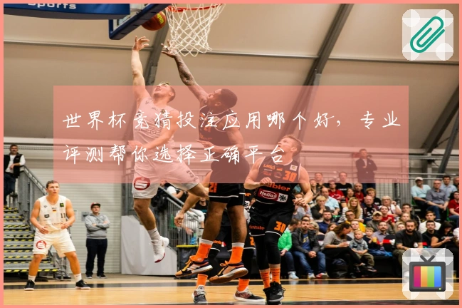 世界杯竞猜投注应用哪个好，专业评测帮你选择正确平台