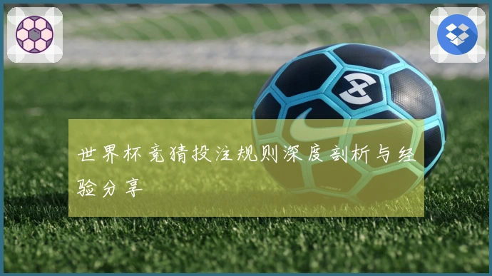 世界杯竞猜投注规则深度剖析与经验分享