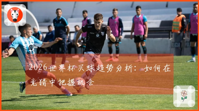 2026世界杯买球趋势分析：如何在竞猜中把握机会